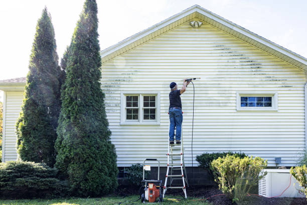 Best Fence Cleaning  in Biltmore, TN